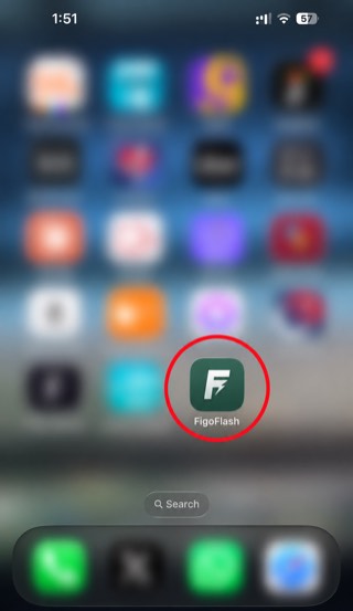 The FigoFlash icon sitting on the iPhone Home Screen